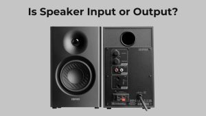 Is Speaker Input Or Output (1)